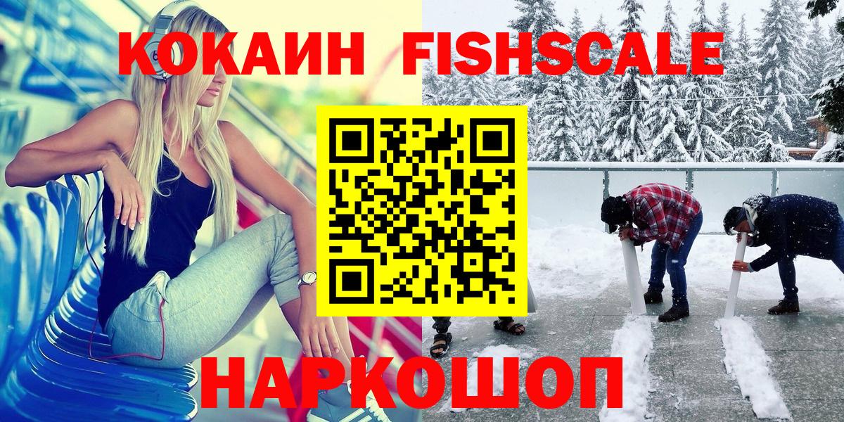 Брянск  Cocaine Fish Scale  Вход с VPN 