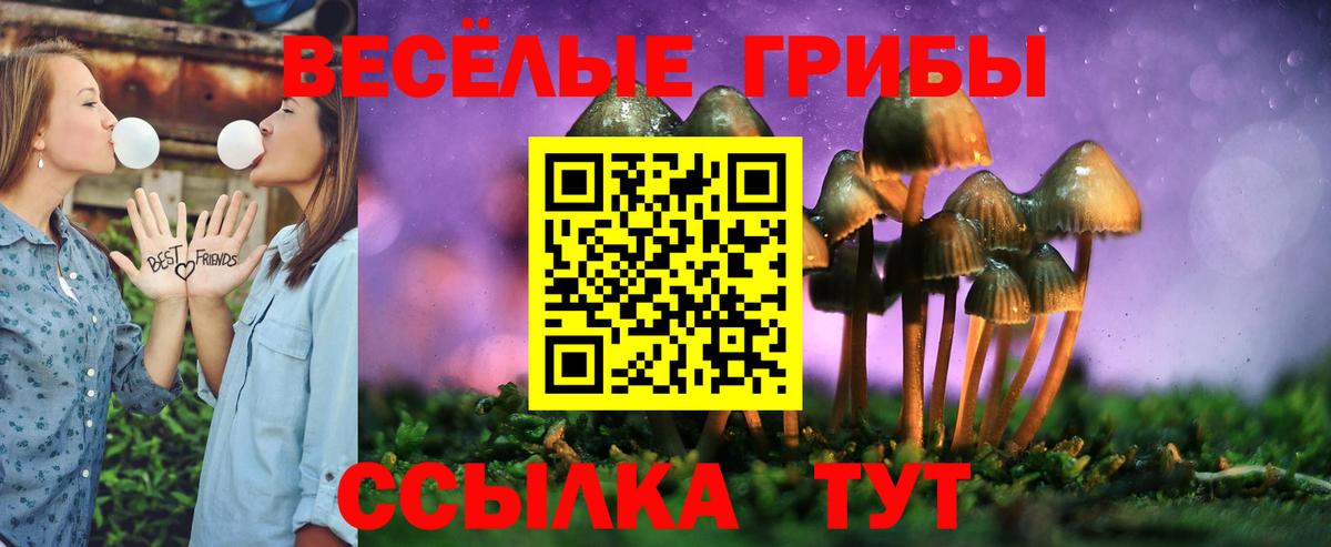 Галлюциногенные грибы Psilocybine cubensis  купить  цена  Брянск  Вход с VPN 